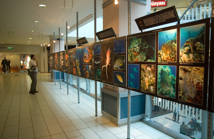 Exhibition of 24 Hours Underwater-005