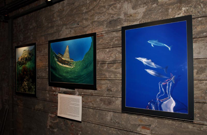 exhibition stars of underwater-004